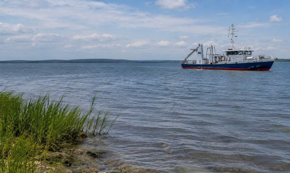 Chesapeake Bay Çevre Bilimi ve Sürdürülebilirliğine Giriş