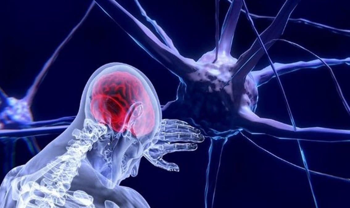 The Neuropsychology of Decision Making