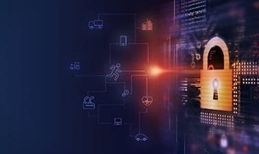 Cybersecurity and Privacy in the IoT