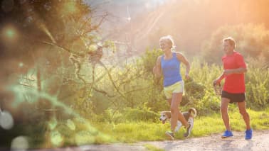 Understanding Alzheimer’s Disease: A Molecular and Genetic Approach