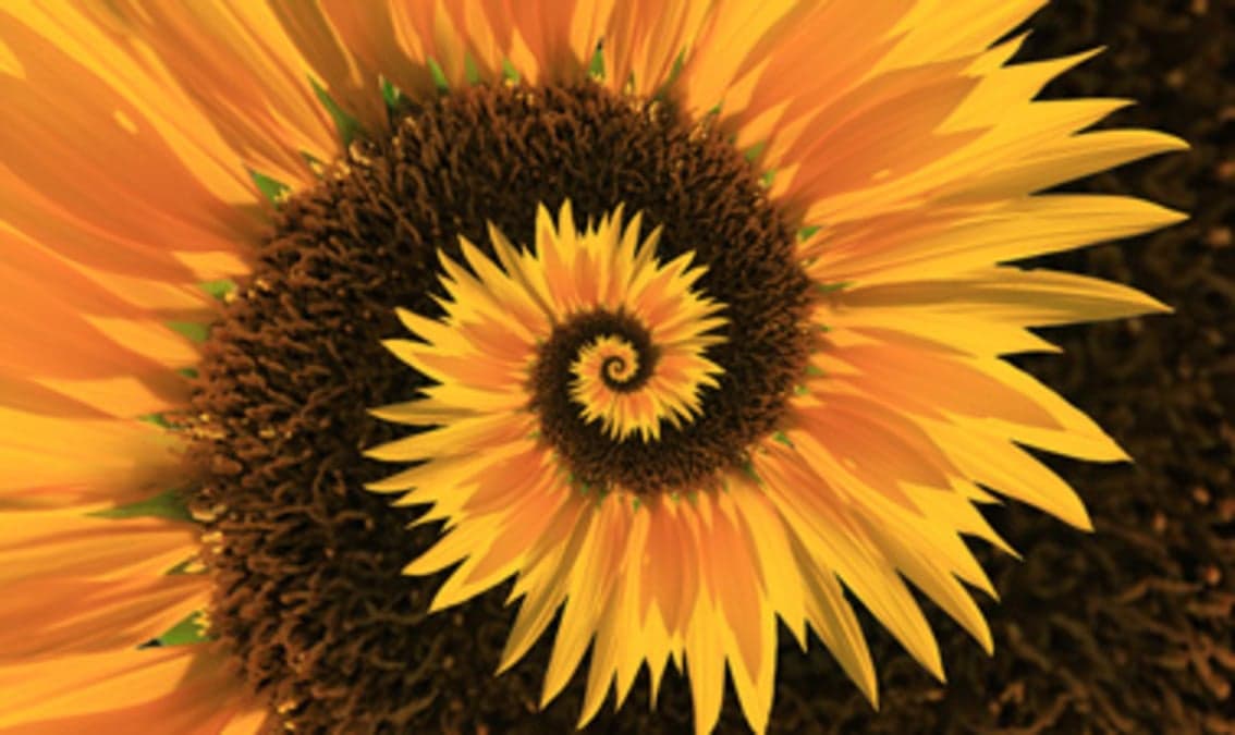 Philosophy and Critical Thinking