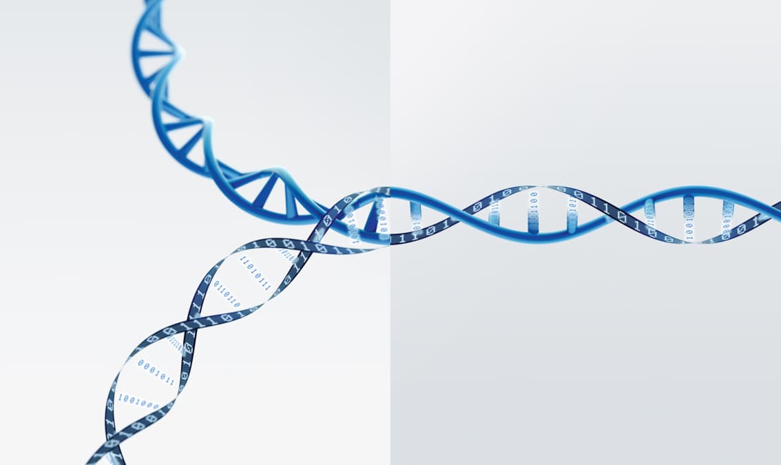 MT1 Marketing Basics