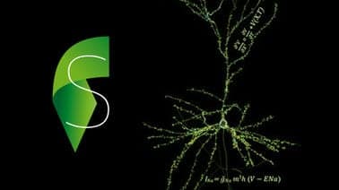 EPFLx: Simulation Neuroscience