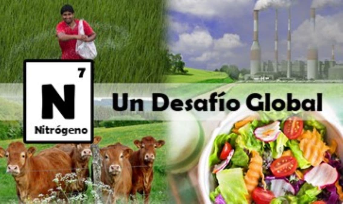 Nitrogen: A Global Challenge (Spanish)