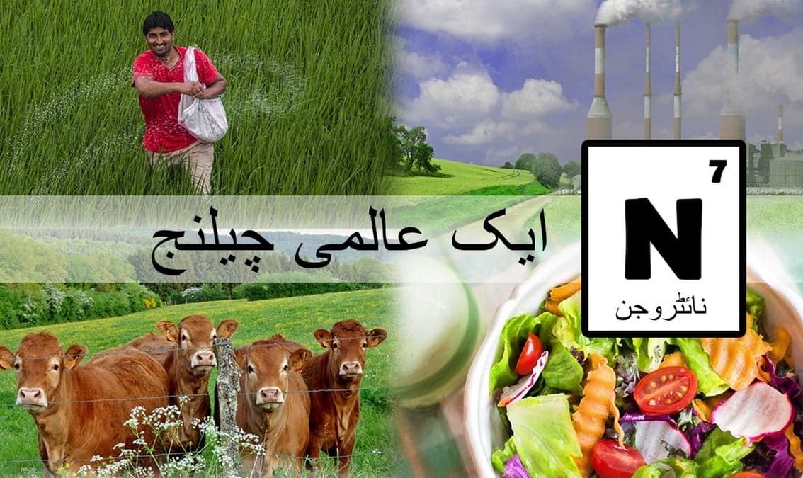 Nitrogen: A Global Challenge (Urdu)