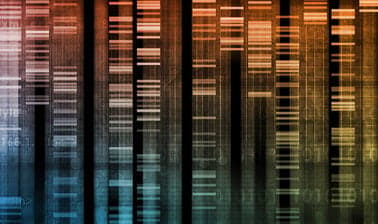FedericaX: La genetica tra scienza, storia e società