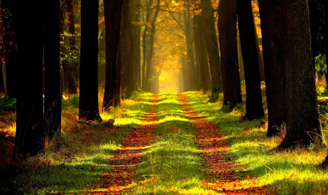 Por 5 razones: respuestas ante el suicidio