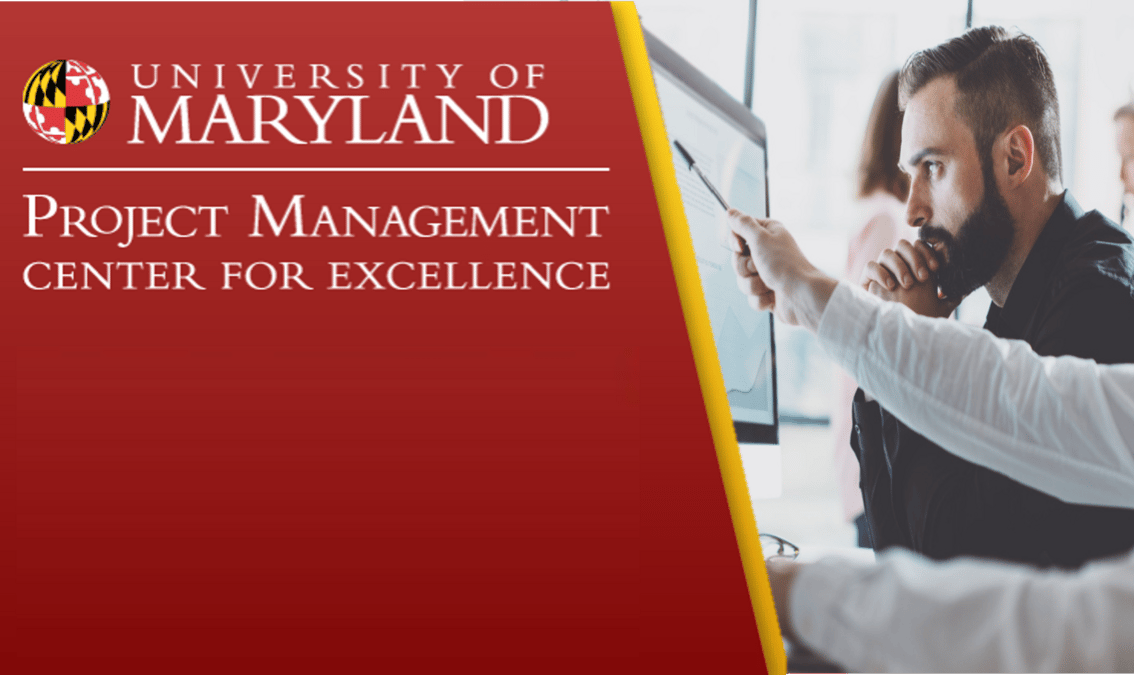 Strategic Decisions for Project Leaders: Exploiting Risk and Opportunity