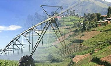 Sustainable Food Security: Crop Production