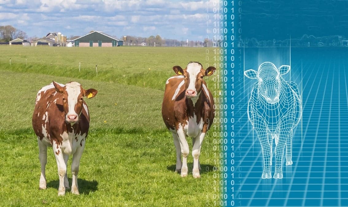 Big Data for Agri-Food: Principles and Tools