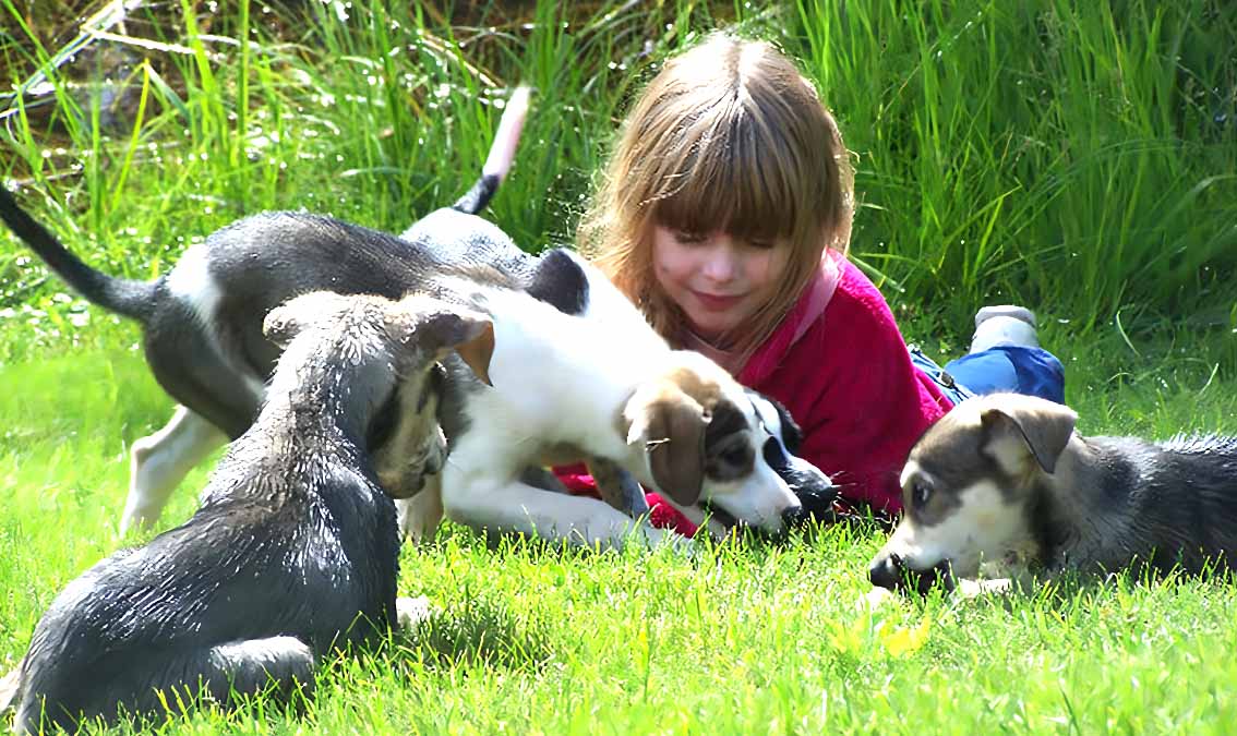 Operationalizing One Health