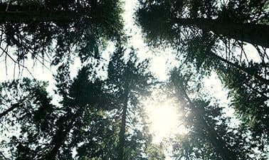 KULeuvenX: Existential Well-being Counseling: A Person-centered Experiential Approach