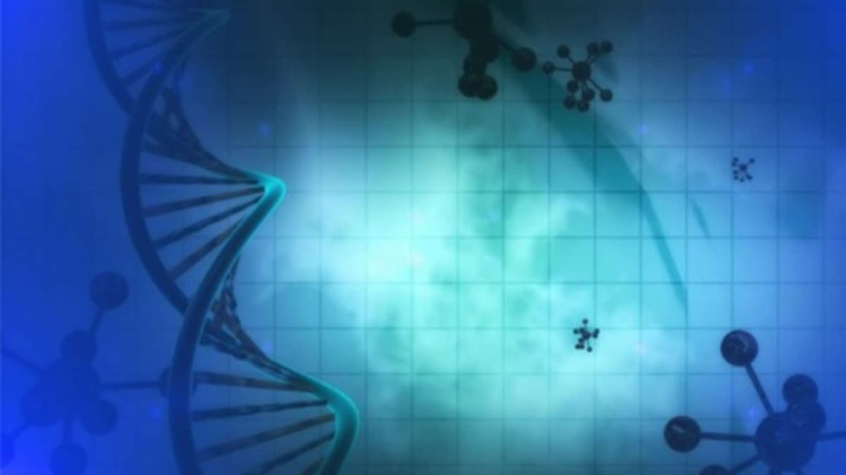 DNA and Atoms: The Secret of Life