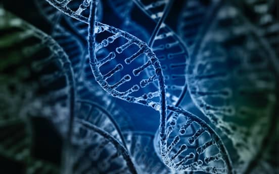 CRISPR: Gen Düzenleme Uygulamaları