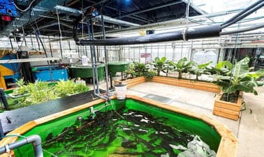 ZHAWx: Aquaponics – the circular food production system