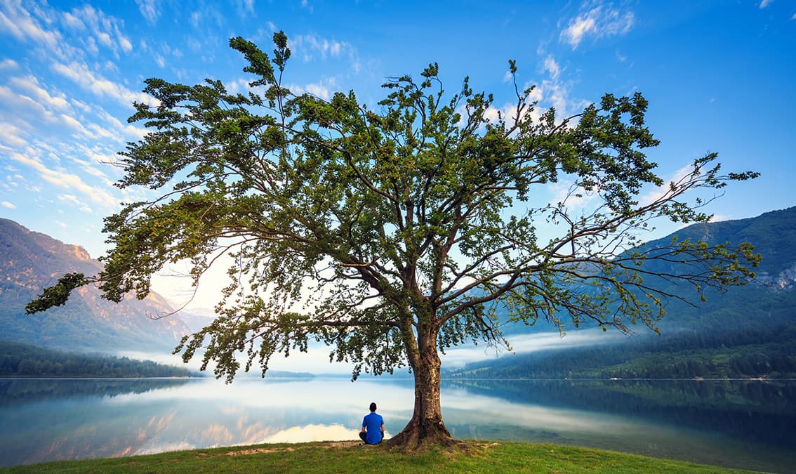 Earth Principles; The Web of Life