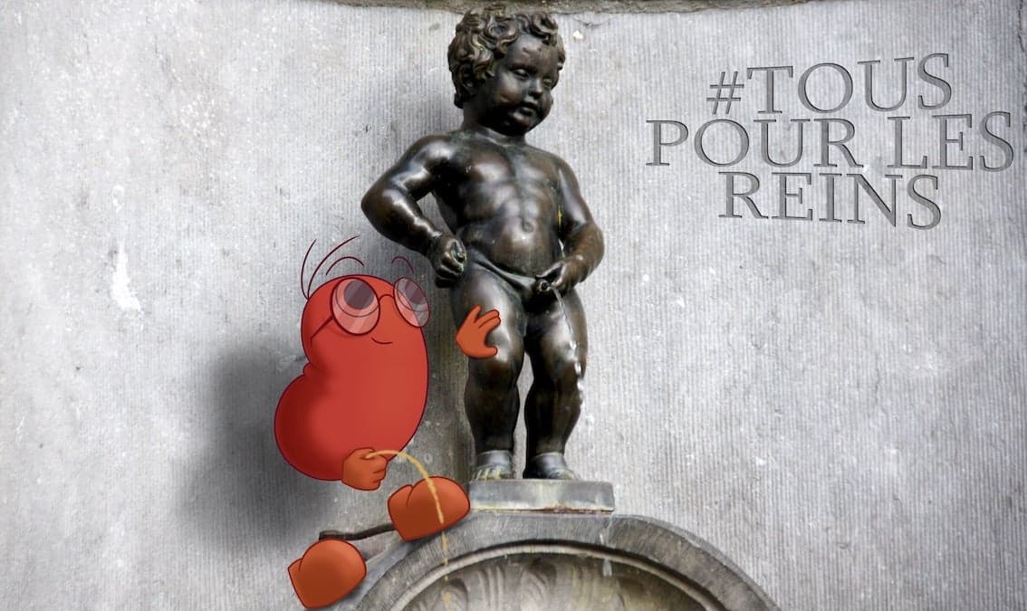 Agir pour la santé des reins