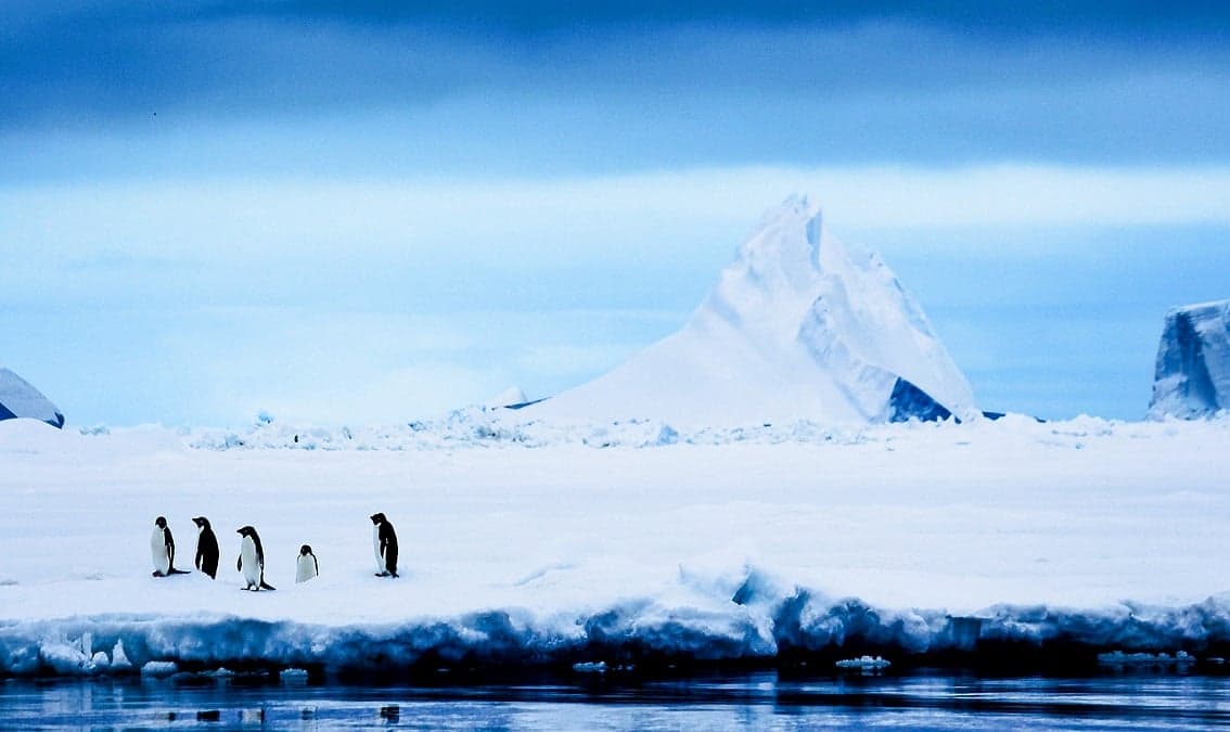 Antarctica: Life on the Frozen Continent