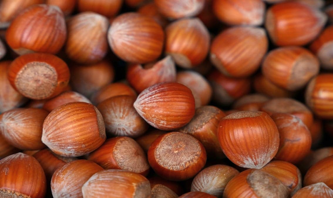 Circular Business Models for Sustainable Urban Food Systems