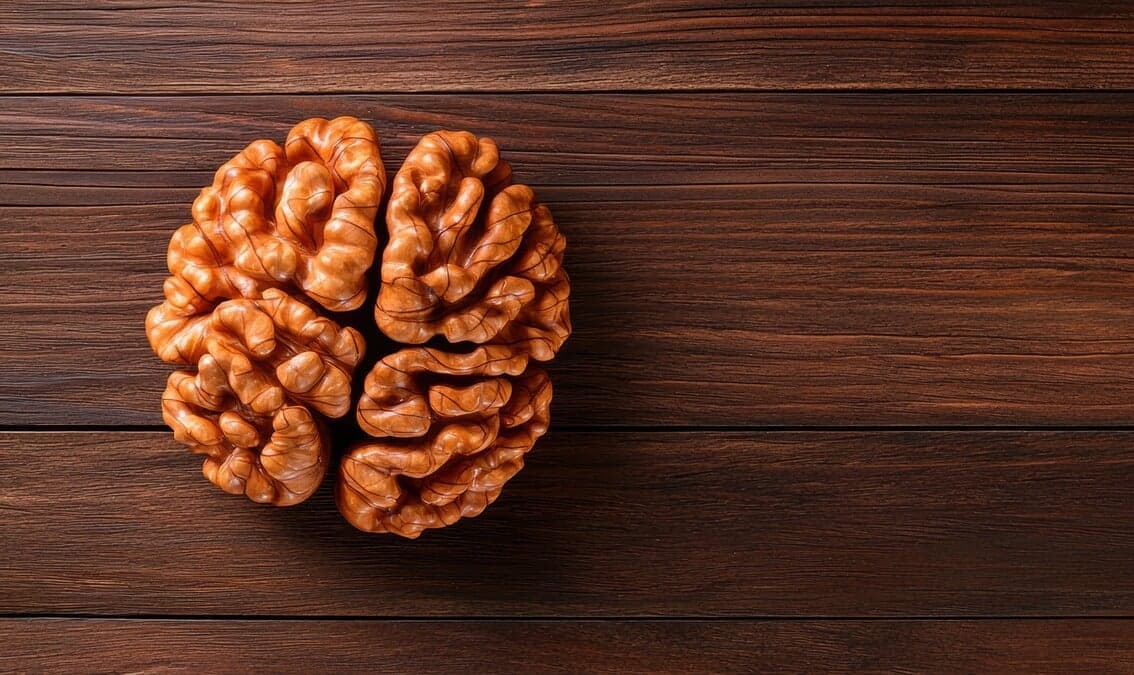 Food for Thought: The Relationship Between Food, Gut and Brain