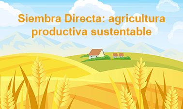 Siembra Directa: agricultura productiva sustentable