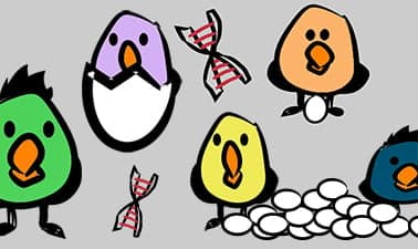 Animal Breeding and Genetics