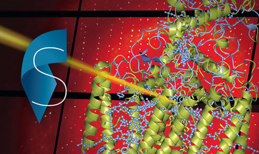 Synchrotrons and X-Ray Free Electron Lasers (part 1)