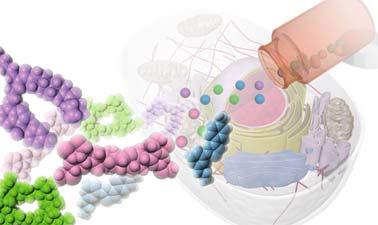 the chemistry of life