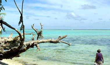 tropical coastal ecosystems