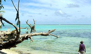 free coastal biodiversity course