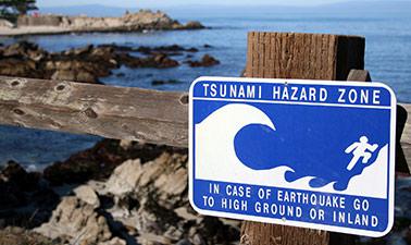 Tsunamis and Storm Surges: Introduction to Coastal Disasters