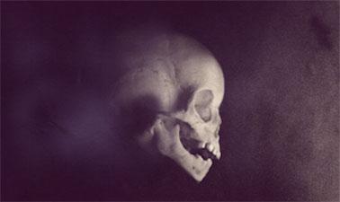 hamlet s ghost