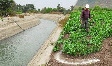 Irrigation Efficiency: more food with less water