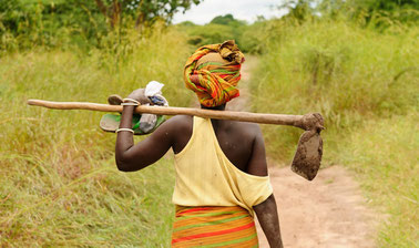 Landscape Leadership: Catalyse Sustainable Development in Landscapes