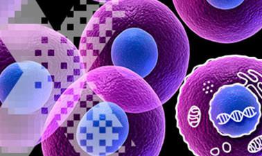 {eighth_row[0].title