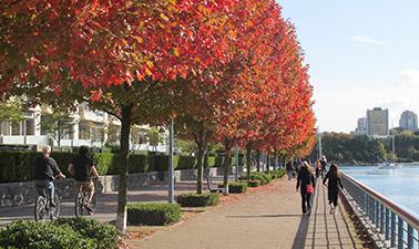 Ecodesign for Cities and Suburbs