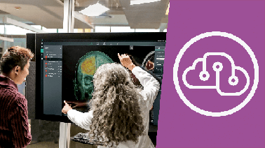 Microsoft Professional Capstone : Artificial Intelligence