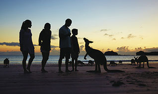 Tourism and Travel Management