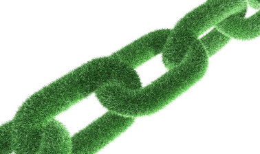 Business Strategy and Operations in a Biobased Economy