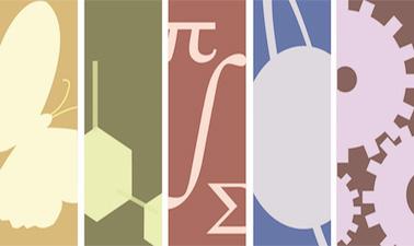 An Introduction to Evidence-Based Undergraduate STEM Teaching