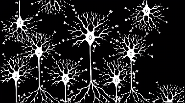 Research Identifies Complex Of Neurons >> Fundamentals Of Neuroscience Part 2 Neurons And Networks Research Identifies Complex Of Neurons >> Fundamentals Of Neuroscience Part 2 Neurons And Networks