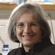 Dyann F. Wirth