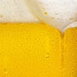 The science of beer