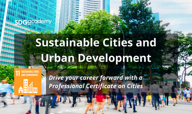 Sustainable Cities and Urban Development Professional Certificate edX