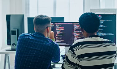 Dynamic Software Developer Role Explained