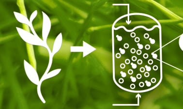 Industrial Biotechnology and Industrial Fermentation Professional