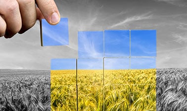 Food Security And Sustainability Professional Certificate Edx